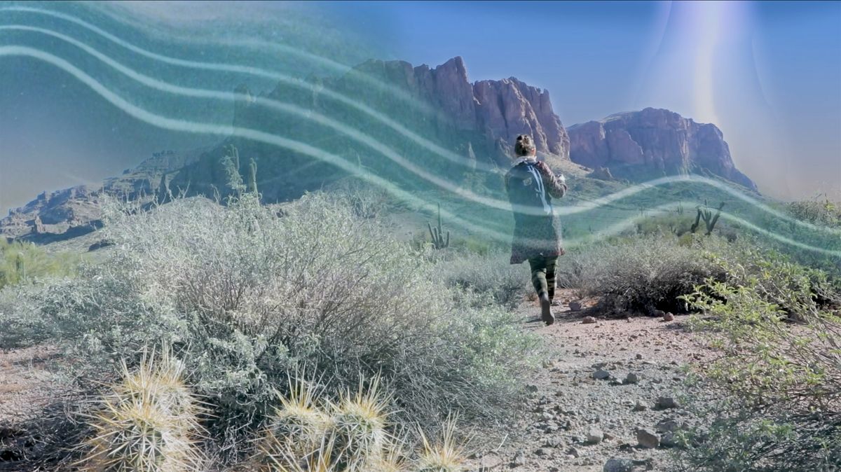 Speculative Cinematics: AI, Eco-horror, and the Moving Image, 11 November | Event in New York | AllEvents