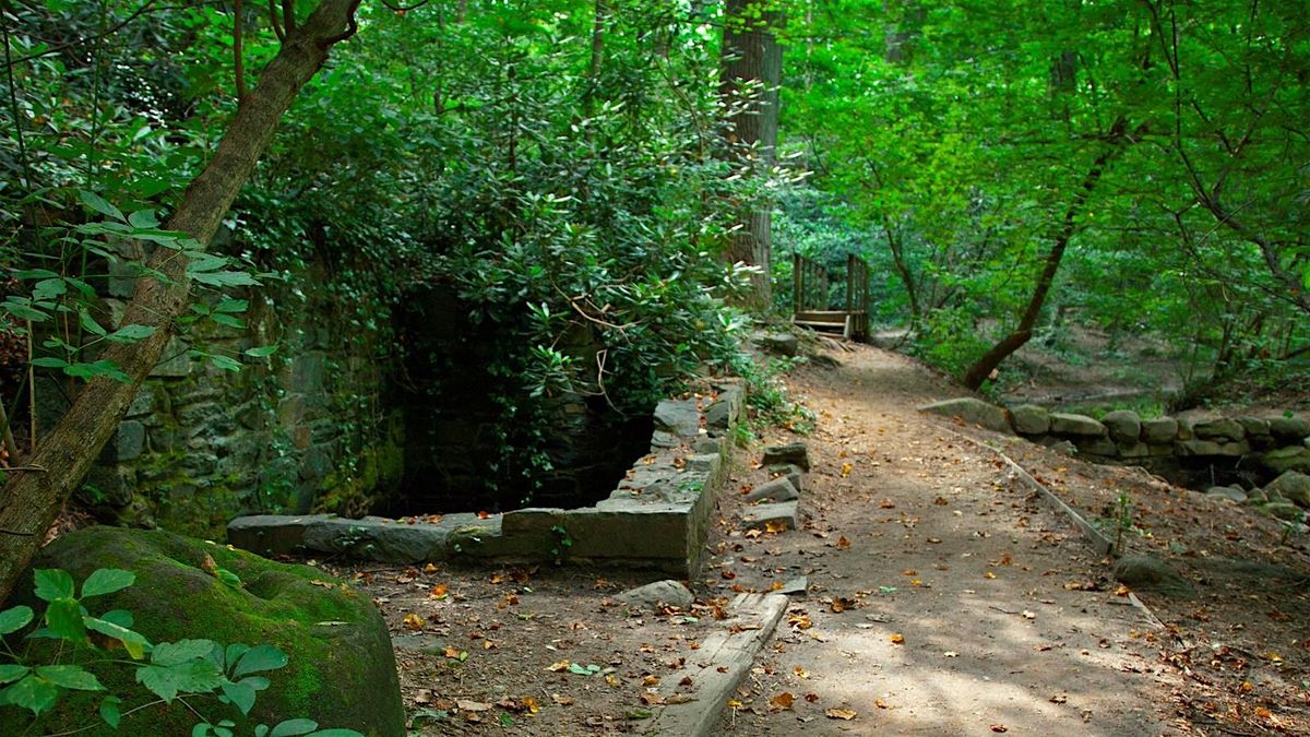 Bird Walk at Dumbarton Oaks Park | Event in Washington | AllEvents