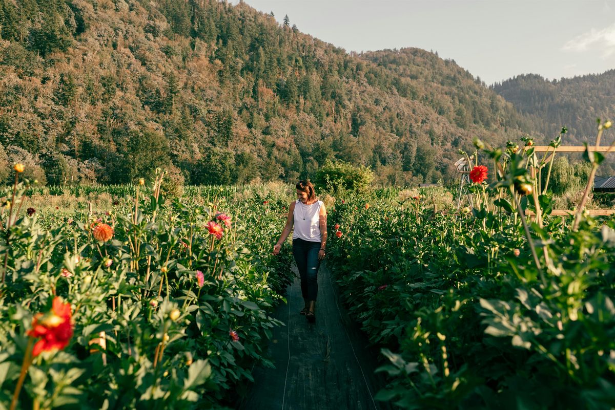 Breathwork Journey in the Wildflowers, 24 August | Event in Abbotsford | AllEvents