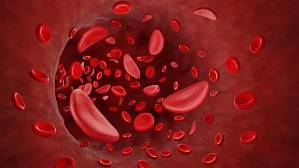 Sickle Cell Awareness with American Red Cross, 31 July | Event in Pensacola | AllEvents
