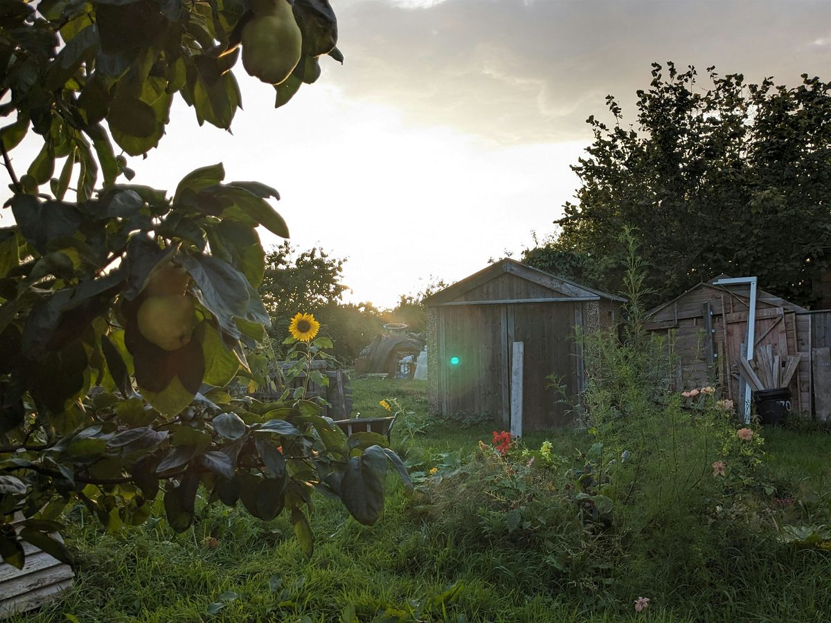 Go Grow With Love, 21 December | Event in Enfield | AllEvents