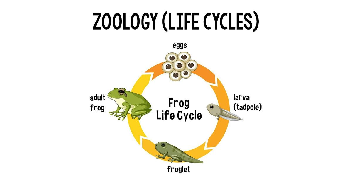 Life Cycle Science, 17 July | Event in Mesa | AllEvents