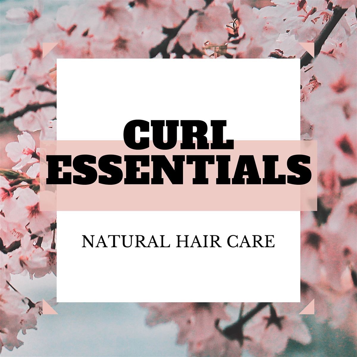Natural Hair Care 101 At The Southerly Baltimore