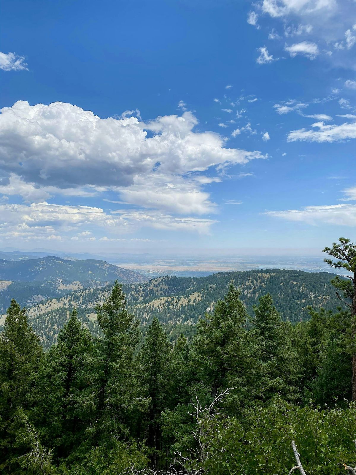 Free Nature Therapy Group, 20 August | Event in Boulder | AllEvents