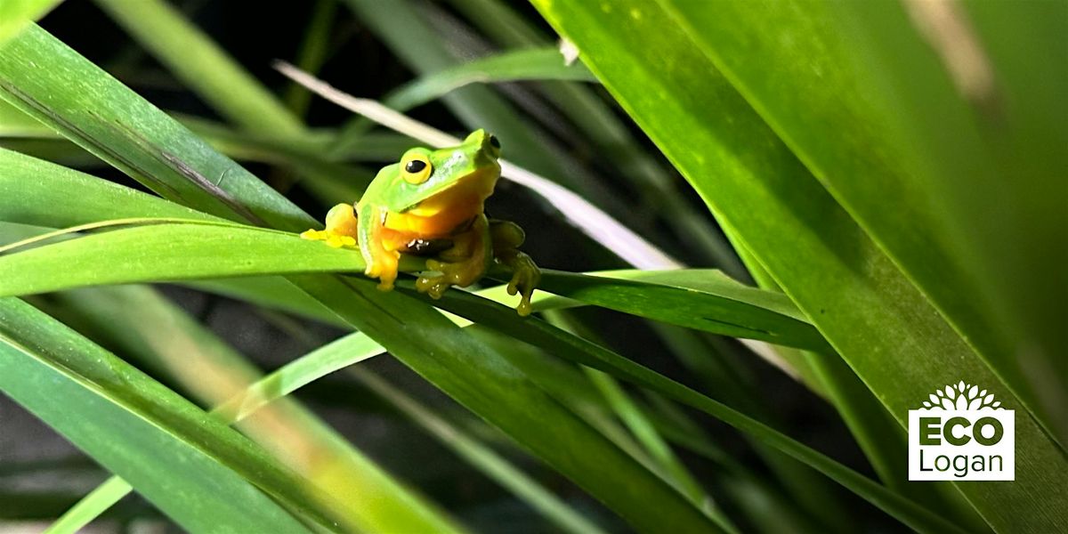 Park after Dark: Frog Spotting, 7 November | Event in Daisy Hill | AllEvents