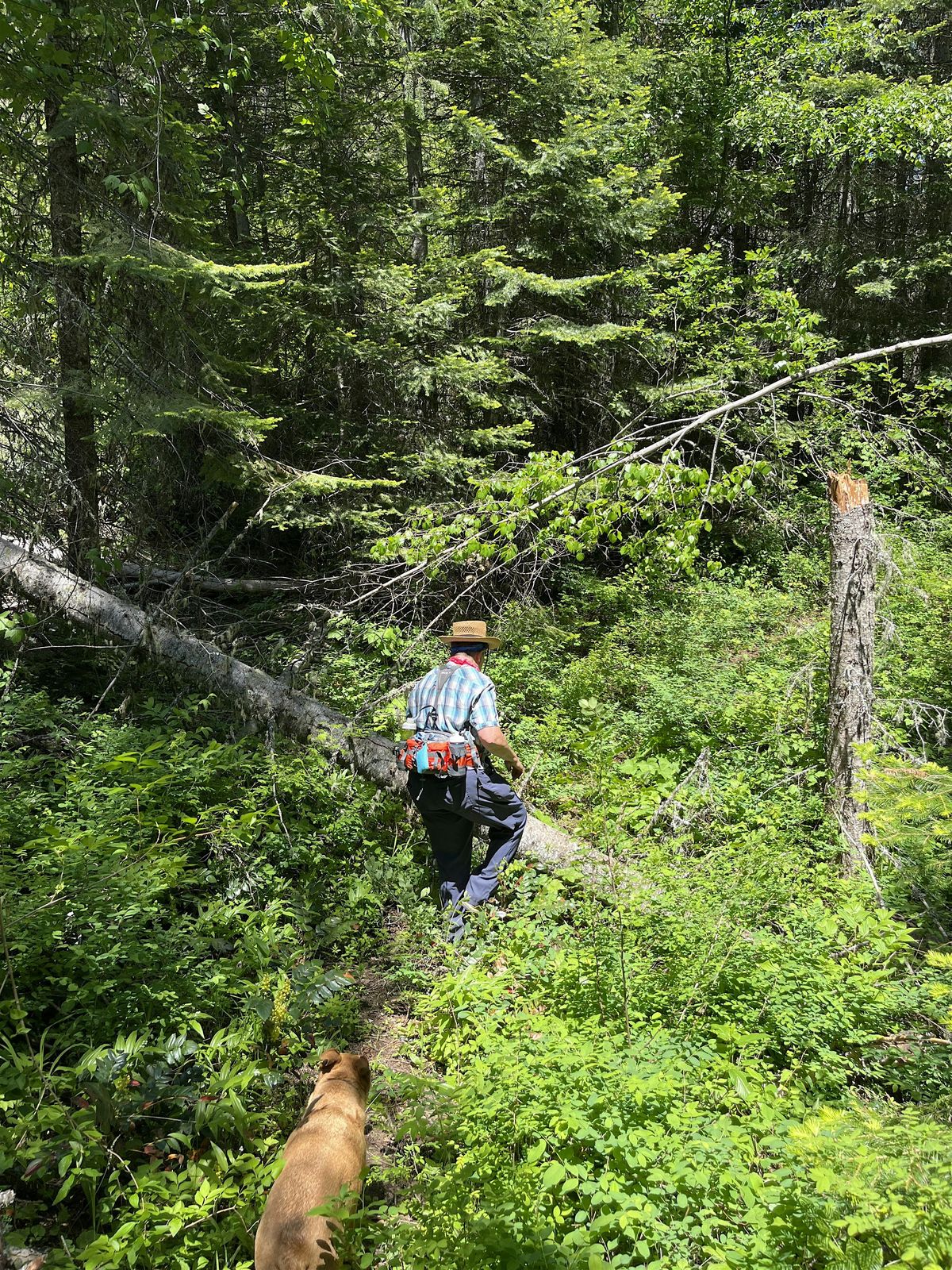 Trail work party:  Buck Creek Trail | Event in Walla Walla | AllEvents