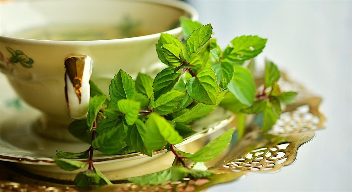 Friday Night Herb Party: Teas, Tisanes, & Infusions! | Event in Greensburg | AllEvents