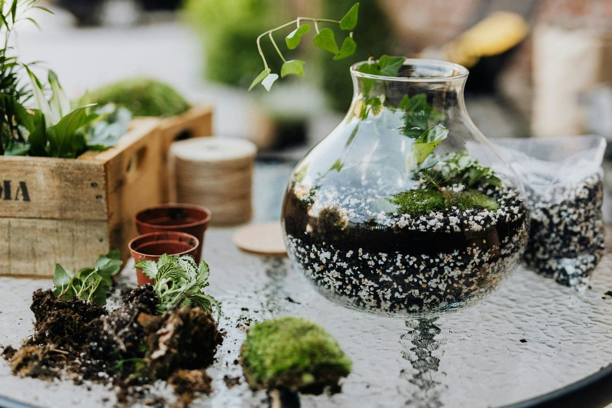 Terrarium Building Workshop in Carrboro, 10 January | Event in Carrboro | AllEvents