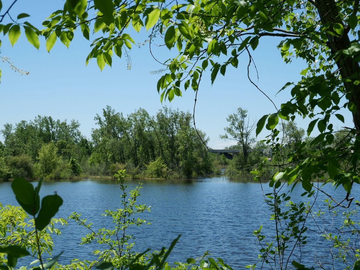 Preserve Stewards: Three Ponds Trail Improvement and Trash Clean Up, 13 August | Event in Midland | AllEvents