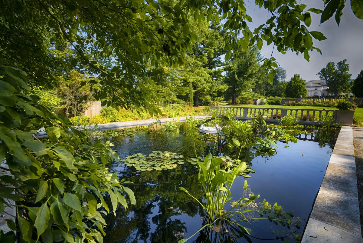 Fun w/ Frogs: Intro to Mindfulness Workshop, 21 June | Event in Wilmington | AllEvents