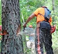 Tree Felling Workshop, 12 December | Event in Seneca | AllEvents