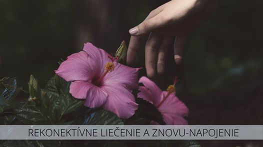 Zoznamka UFC bojovník