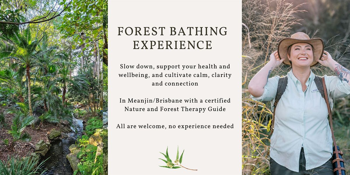 Forest Bathing experience - Brisbane, 21 December | Event in Toowong | AllEvents