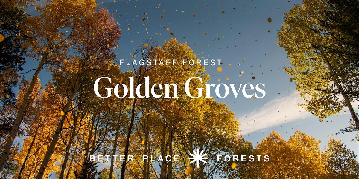 Flagstaff  Memorial Forest Golden Groves Celebration, 5 October | Event in Flagstaff | AllEvents