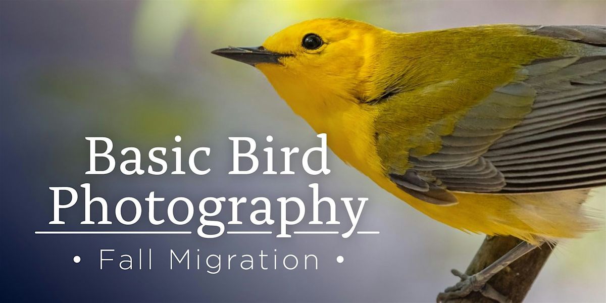 Basic Bird Photography - Fall Migration, 20 September | Event in Columbus | AllEvents