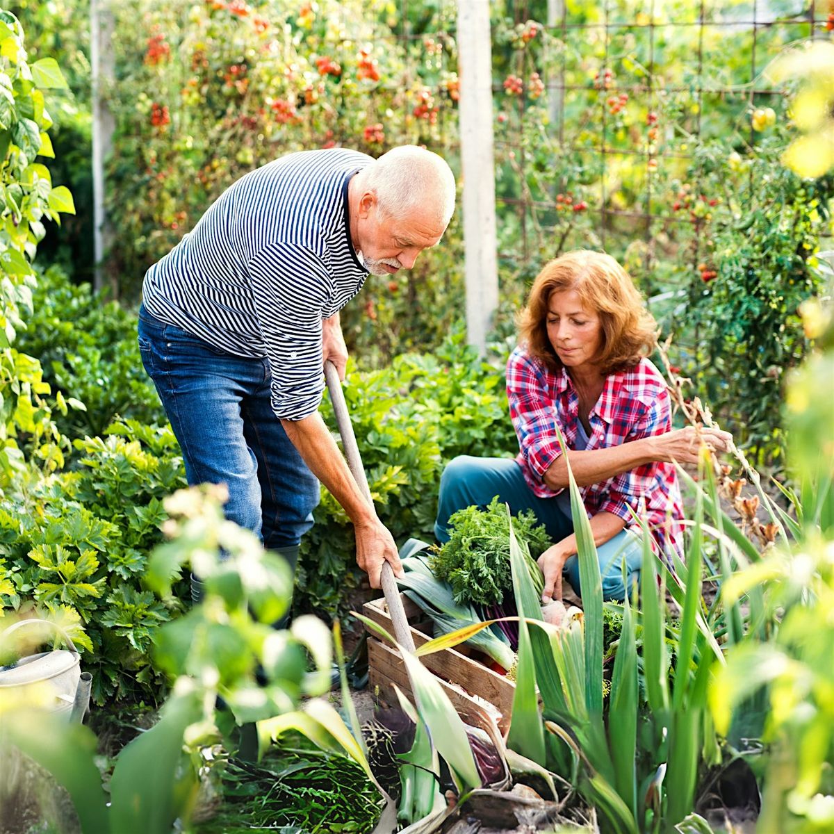 Gardeners' Hour: October, 13 October | Event in Palo Alto | AllEvents