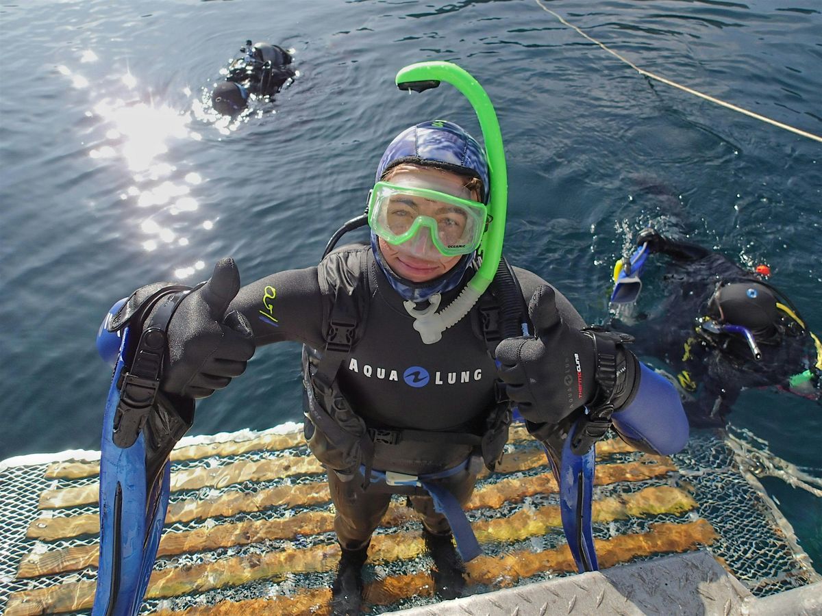 Clams, Kelp & Comebacks - Inside the Work of Restoring Life Underwater, 13 August | Event in San Clemente