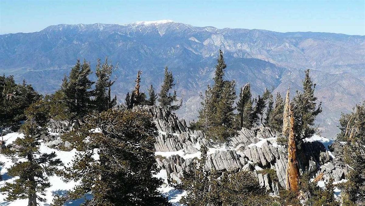 Traditional Ascent to Mt. San Jacinto and Miller Peak 10,000'+ for Newbies, 28 June | Event in Palm Springs