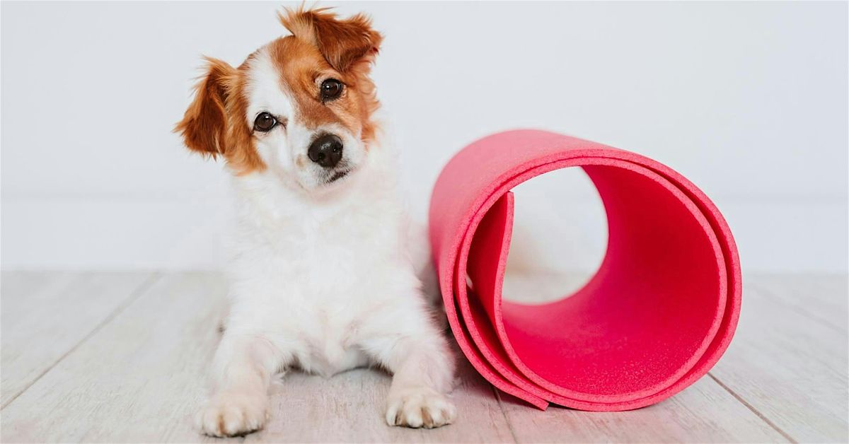 Puppy Yoga at Tanger Charleston | Event in North Charleston | AllEvents