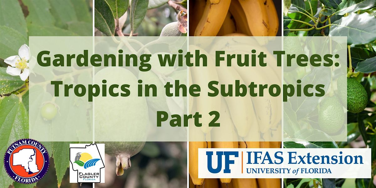 Gardening with Fruit Trees: Tropics in the Subtropics Part 2, 5 May | Event in East Palatka | AllEvents