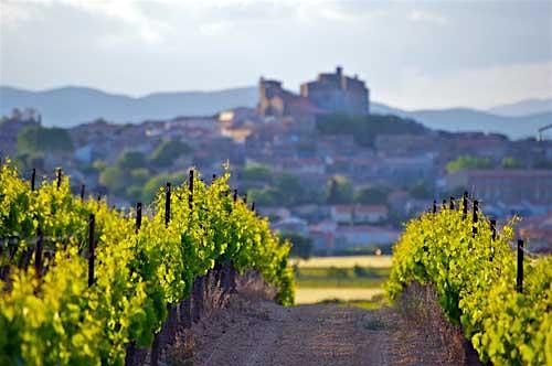 GUIDED WINE TASTING  LANGUEDOC, 10 November | Event in Bath | AllEvents