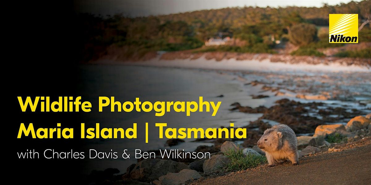 Nikon Experience: Wildlife Photography | Maria Island, 21 February | Event in Triabunna | AllEvents