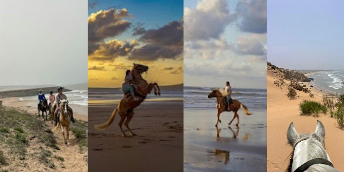 ✨ Sahara Soul Ride: An 8-Day Moroccan Desert Adventure ✨, 11 September | Event in Essaouira | AllEvents