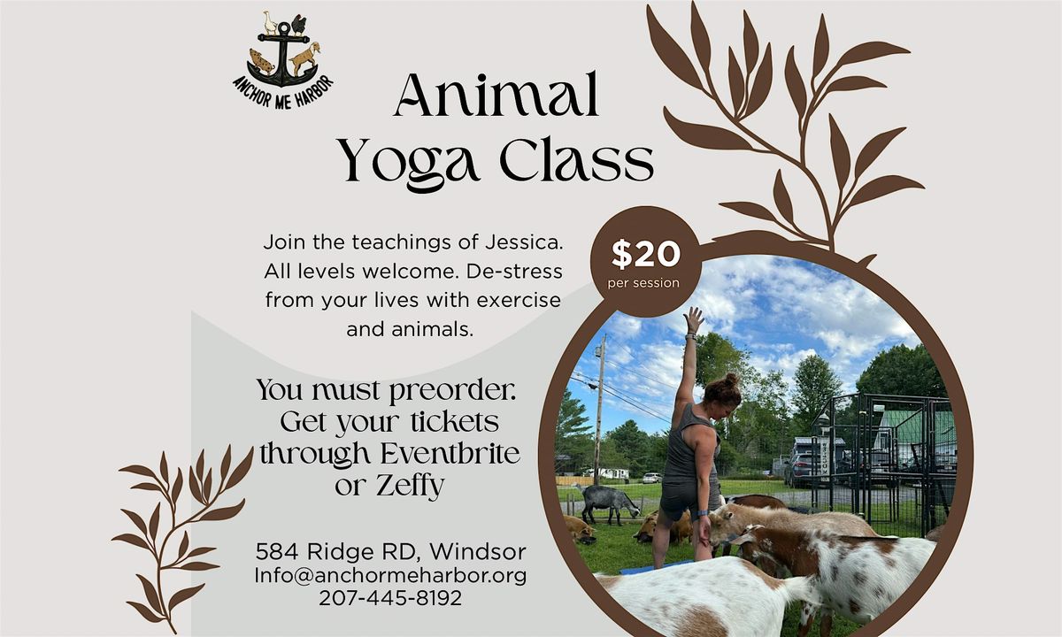 Animal Yoga | Event in Windsor | AllEvents