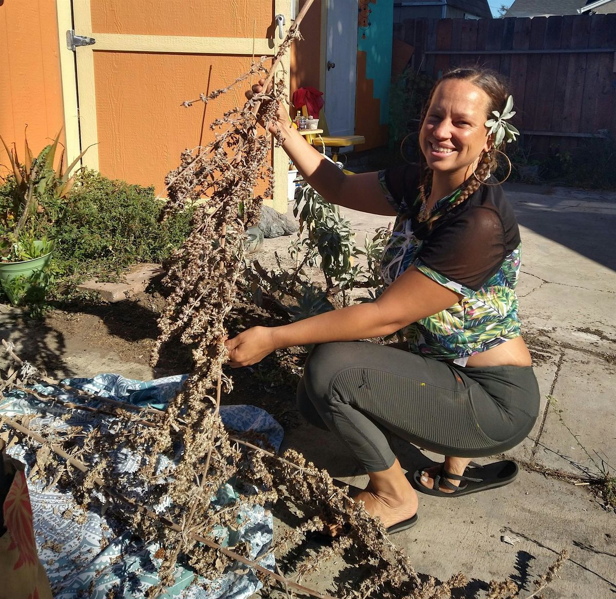 Connecting with Plant Medicine: A Free 2-part Workshop on Agua Florida, 20 October | Event in Berkeley | AllEvents