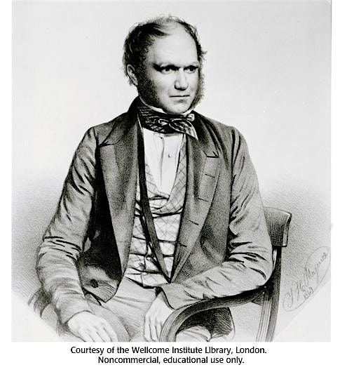 Saturday DNA! Darwin's Adventure, 13 December | Event in Cold Spring Harbor | AllEvents