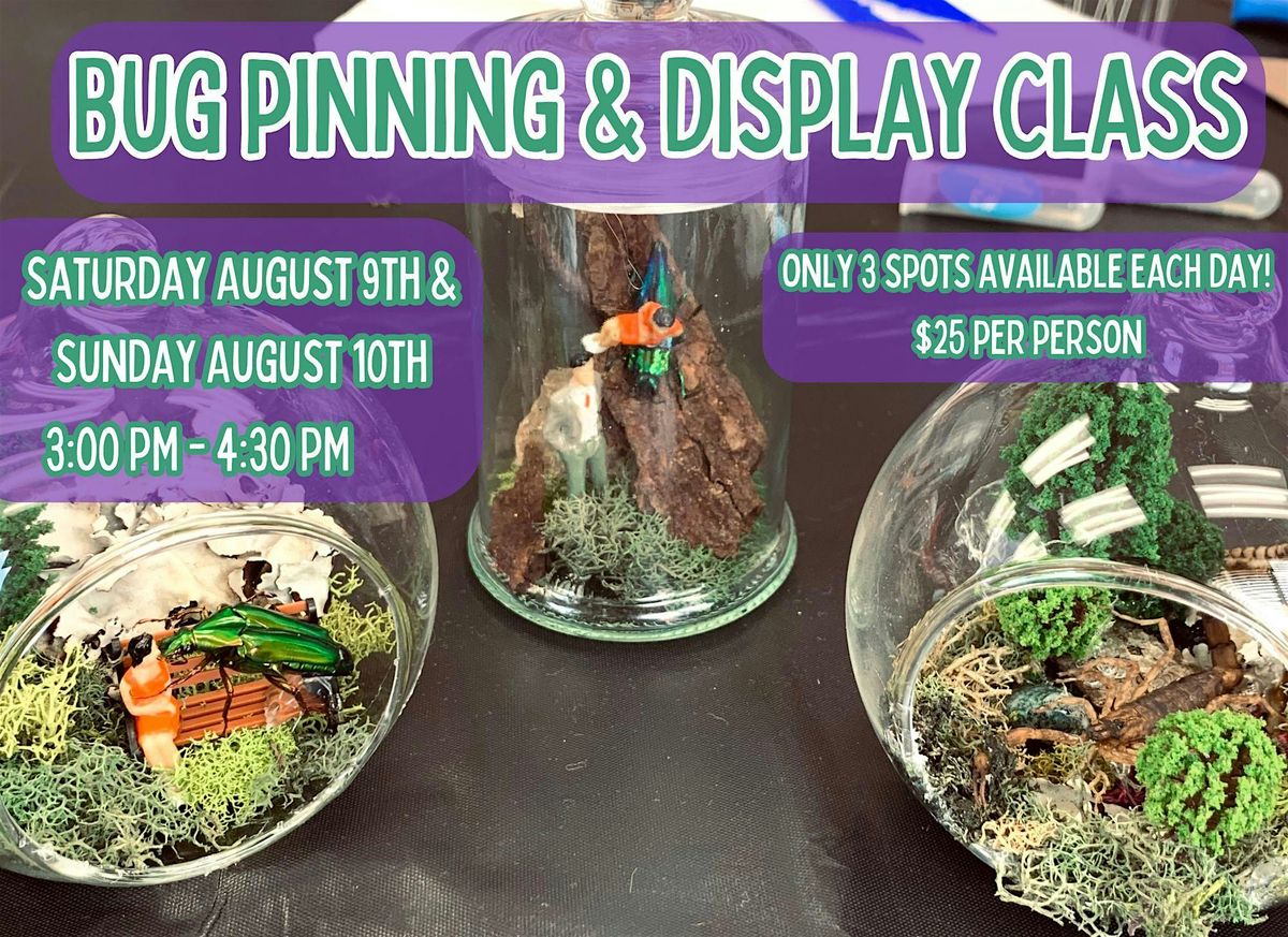 Bug Pinning & Display Class - August 2025, 9 August | Event in Beaver Dam | AllEvents