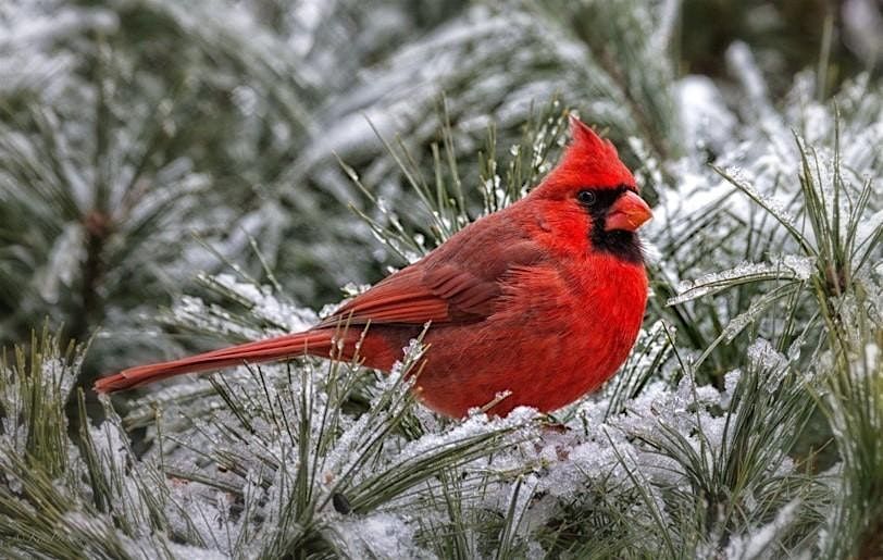 Winter Survival Tips, 18 November | Event in Yorktown | AllEvents