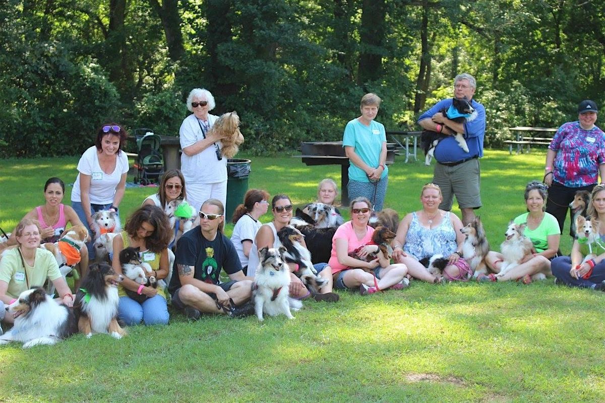 11th Annual Sheltie Day at the Park, 24 August | Event in Edison | AllEvents