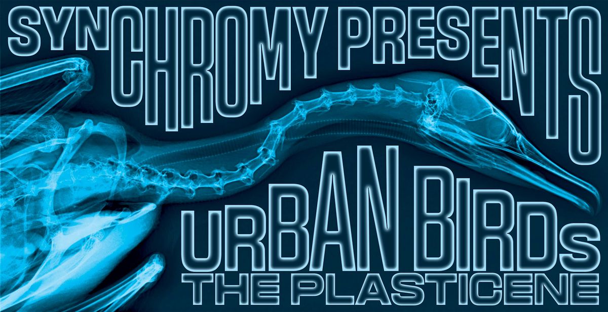 Copy of Urban Birds: The Plasticene, 1 June | Event in Los Angeles | AllEvents