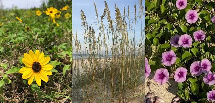 Get to Know Your Sand Dunes, 3 October | Event in Bunnell | AllEvents