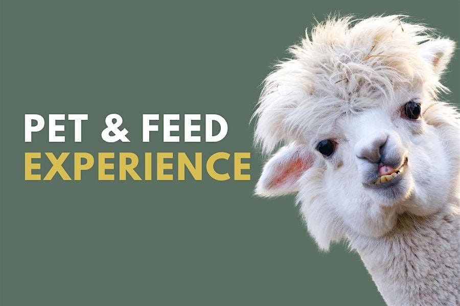 Pet and Feed Experience - Gainesville, 4 October | Event in Gainesville | AllEvents