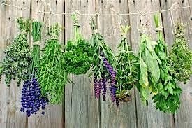 Herbal Knowledge Course, 10 August | Event in Toledo | AllEvents