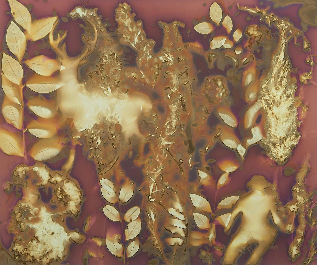 Making Lumen Prints with Andreas Rentsch, 7 September | Event in Huntington | AllEvents