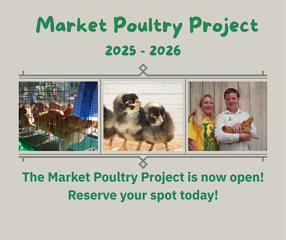 4-H Poultry Project Information Night, 5 August | Event in Cocoa | AllEvents