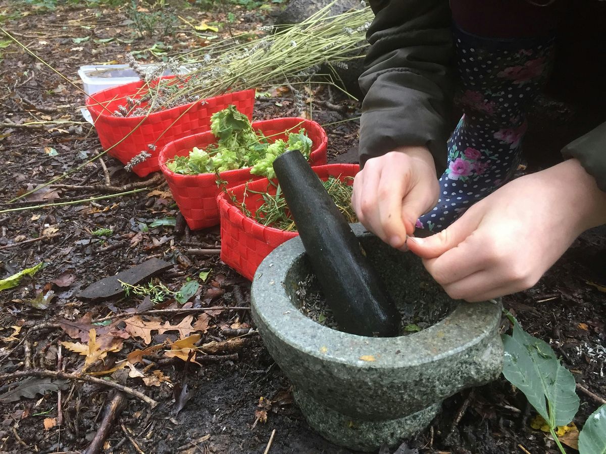 Grange Farm Woodland Magic, 31 October | Event in Chigwell | AllEvents