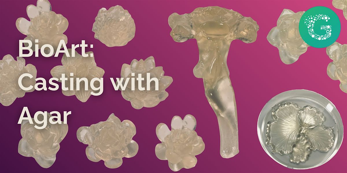 BioArt: Casting with Agar, 23 November | Event in Brooklyn | AllEvents