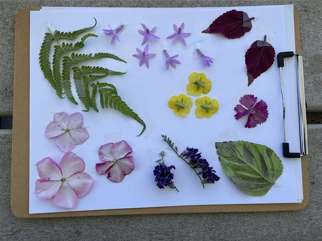 8-12-2025  Horticulture in Arts and Crafts, 12 August | Event in Wesley Chapel | AllEvents