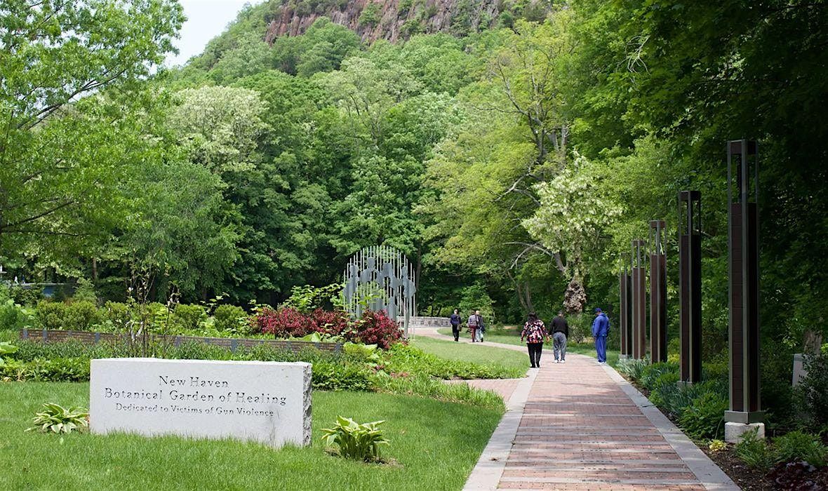 Botanical Garden of Healing: Guided Tour, 14 June | Event in New Haven | AllEvents