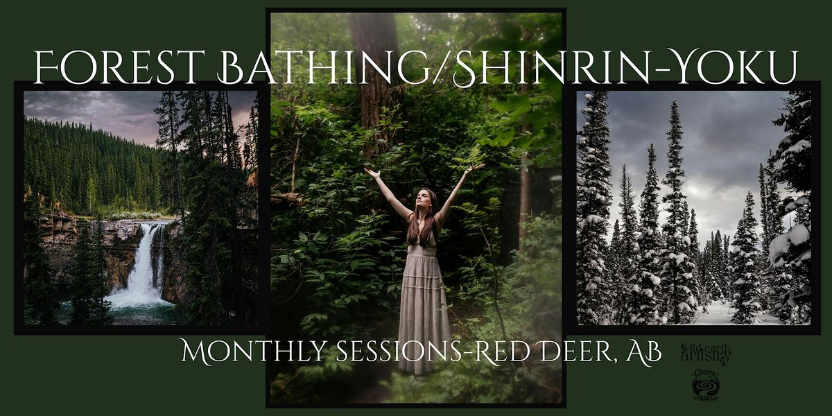 Monthly Forest Bathing/July-Red Deer