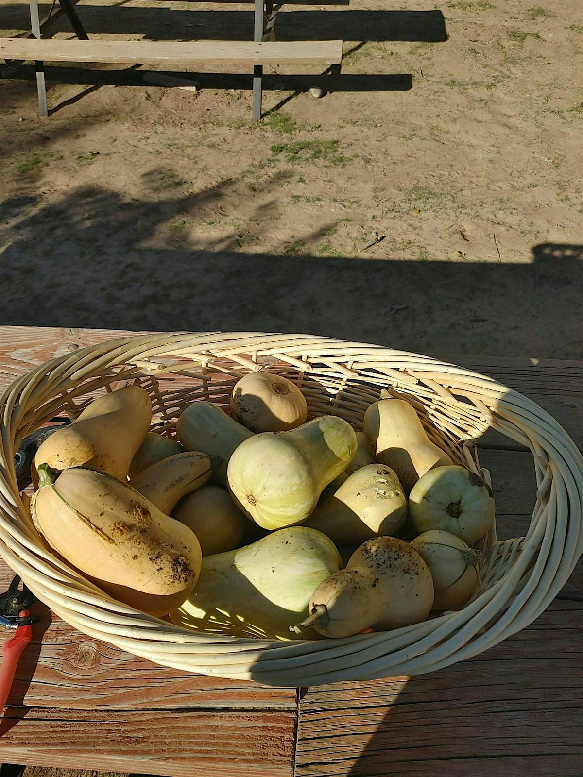 The Fall Garden: Putting your garden to bed, 13 September | Event in Blanding | AllEvents