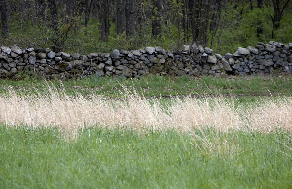 Stories in Stone: The Legacy of Our Walls, 27 September | Event in North Salem | AllEvents
