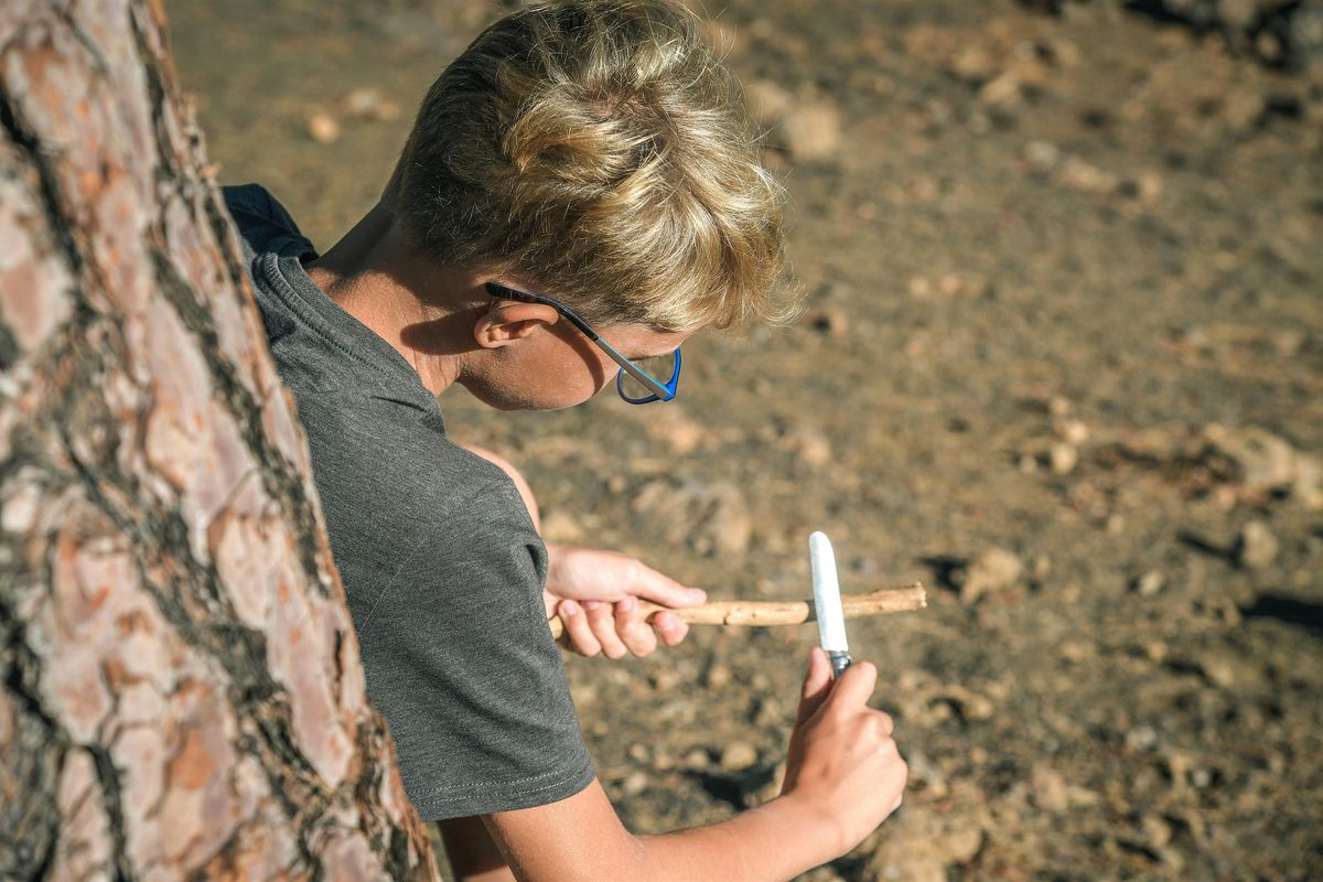 Event: Whittling with Will, 11 October | Event in Forres | AllEvents