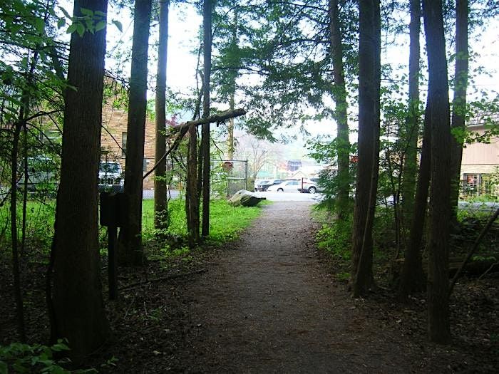 Adventurous Scavenger Hunt - Downtown By The Smokies | Event in Gatlinburg | AllEvents