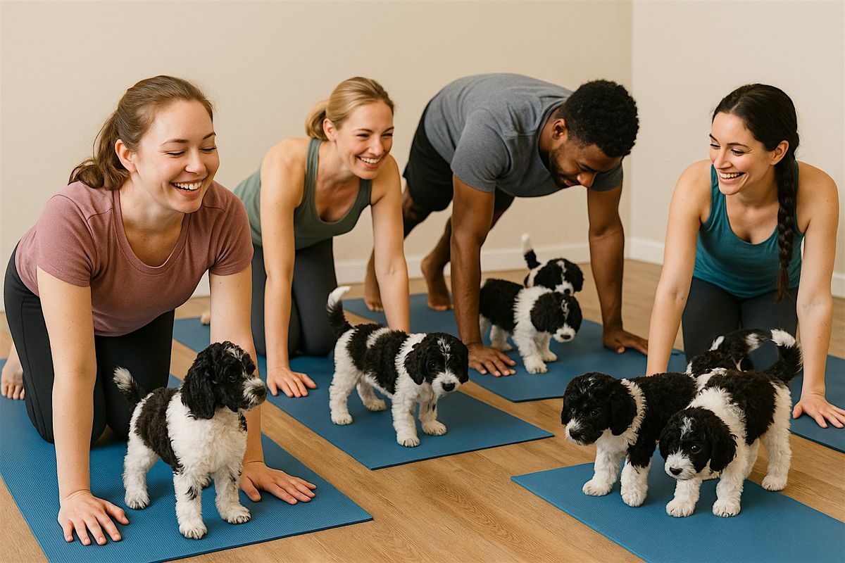 Puppy Yoga - August 24th, 24 August | Event in Calgary | AllEvents