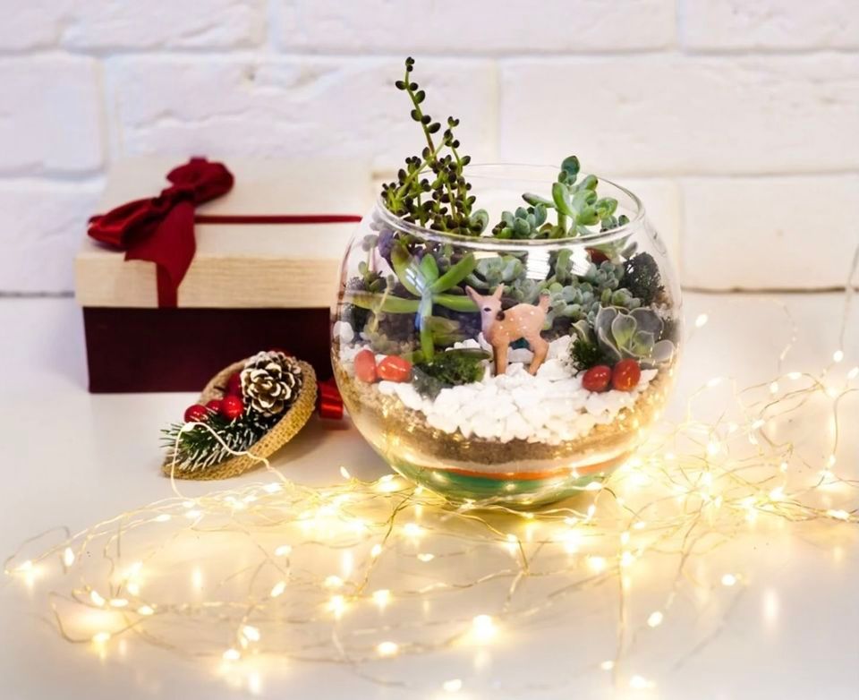 Holiday Terrarium Making Class, Aussakita Acres Farm, South Windsor